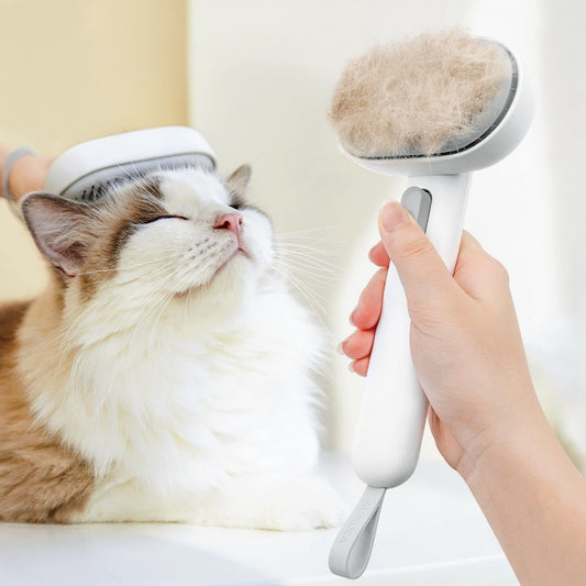 Self Cleaning Brush