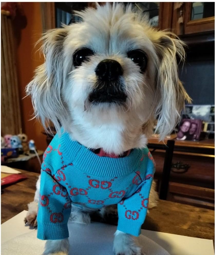 Luxury Knit Yorkie Sweater