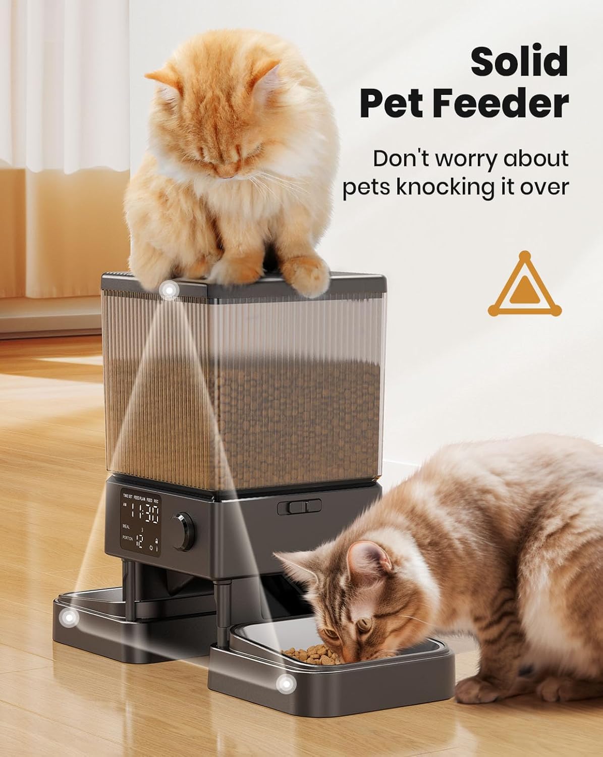 Dual Bowl Automatic Pet Feeder