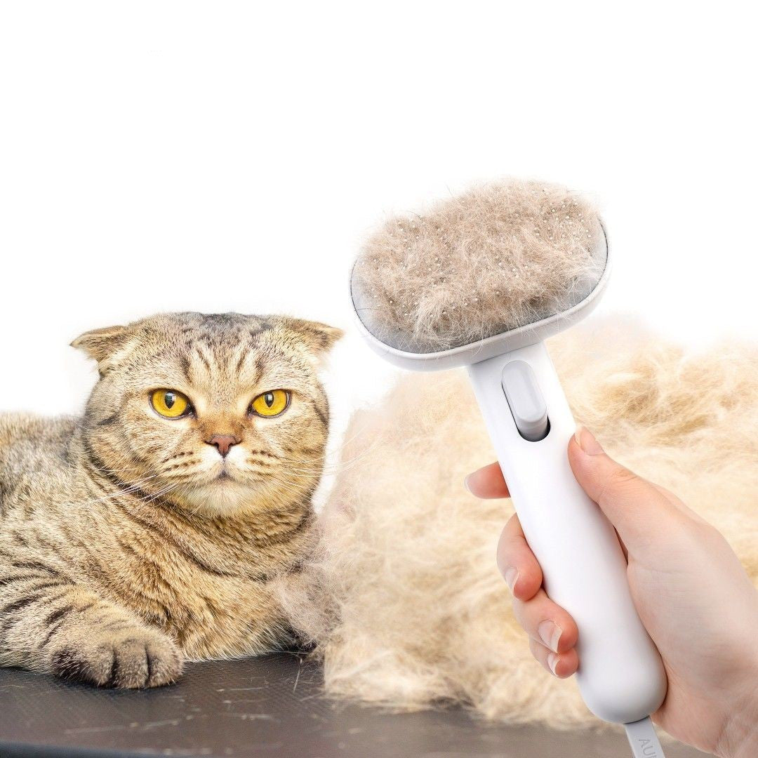 Self Cleaning Brush