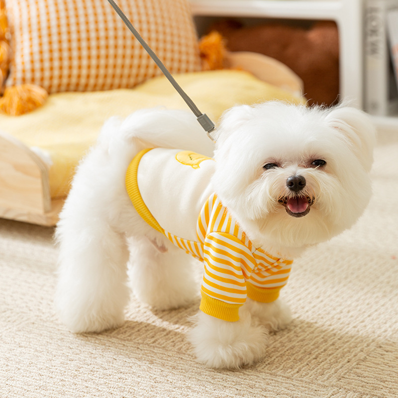 Dog Striped Shirt