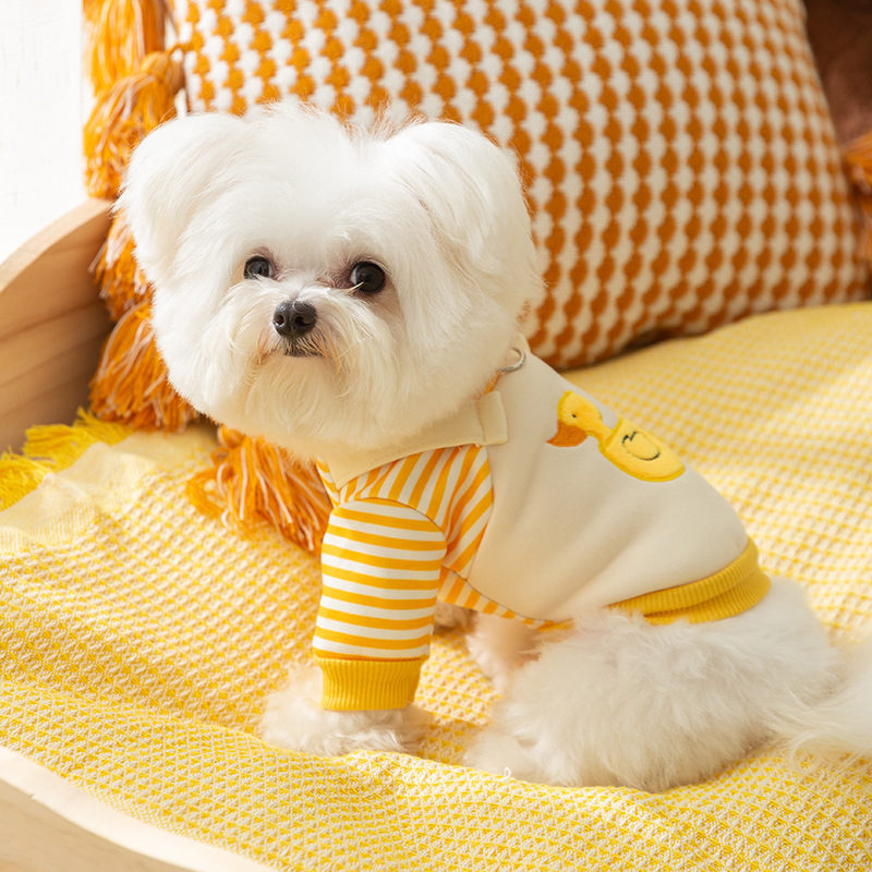 Dog Striped Shirt