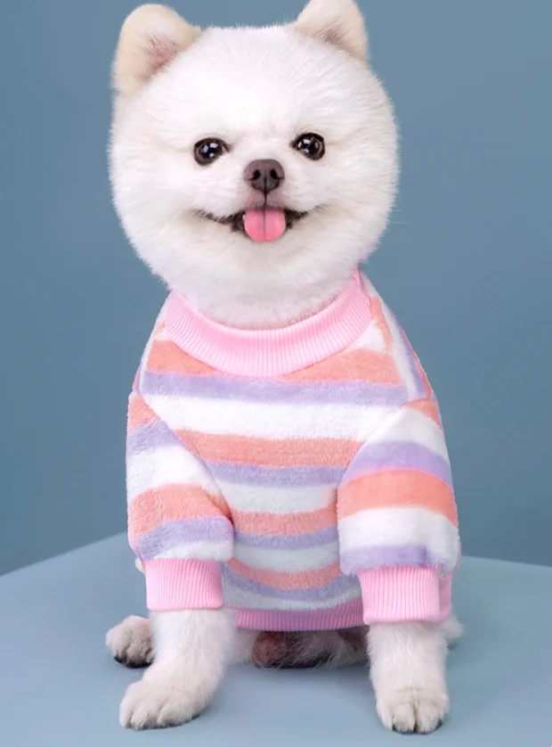 Striped Winter Dog Sweater