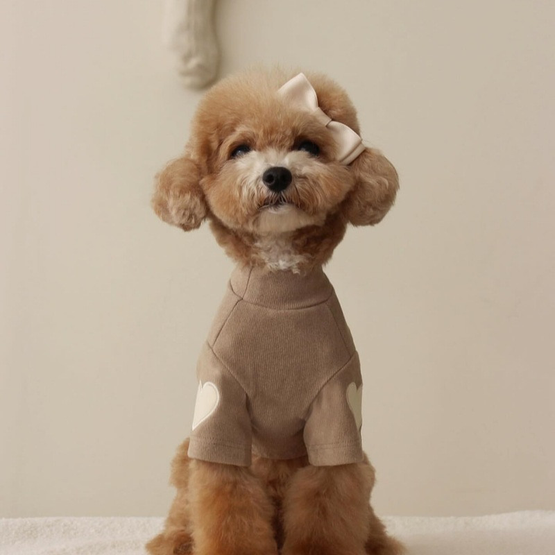 Heart Patch Dog Sweatshirt