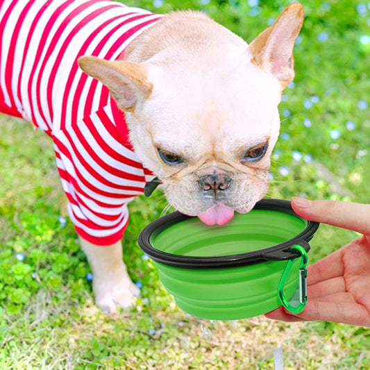 Collapsible Water Bowl