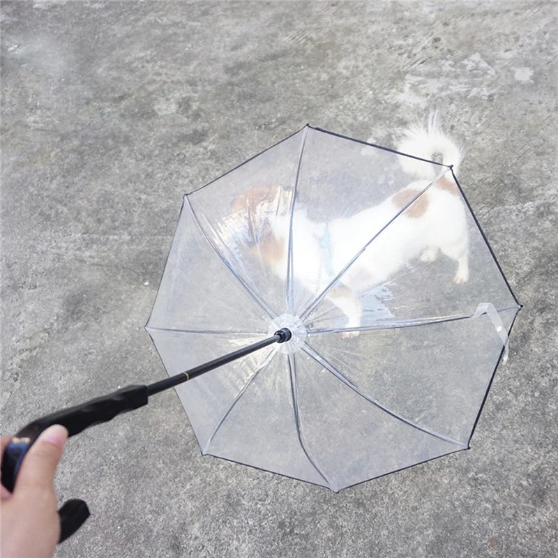 Yorkie Transparent Umbrella