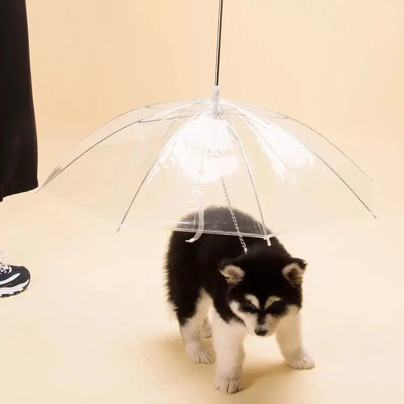 Yorkie Transparent Umbrella