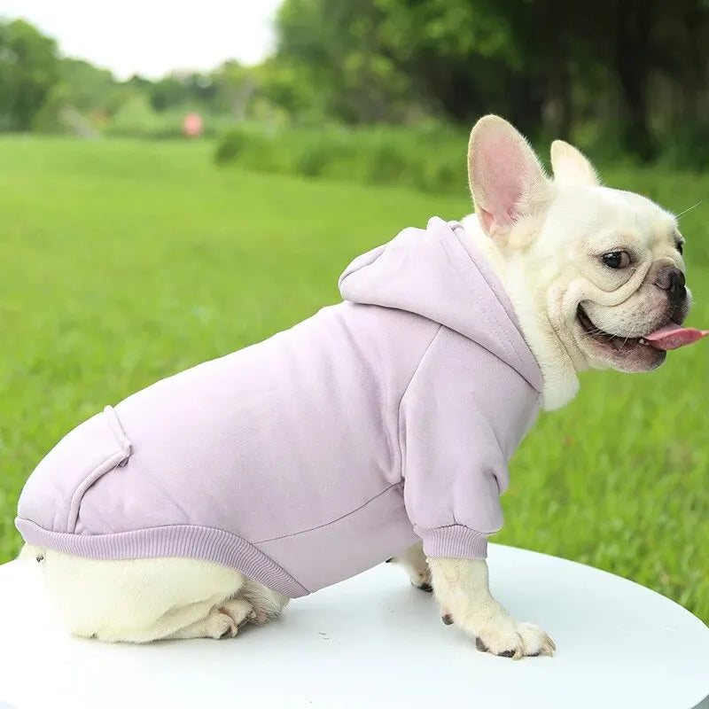 Cozy Hoodie for Small Dogs