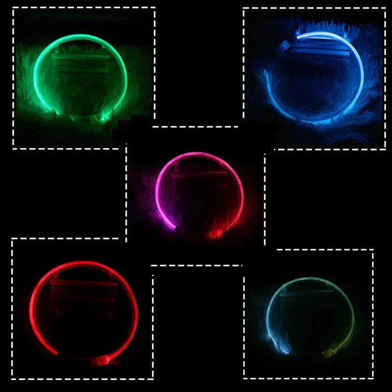 Rechargeable LED Dog Collar