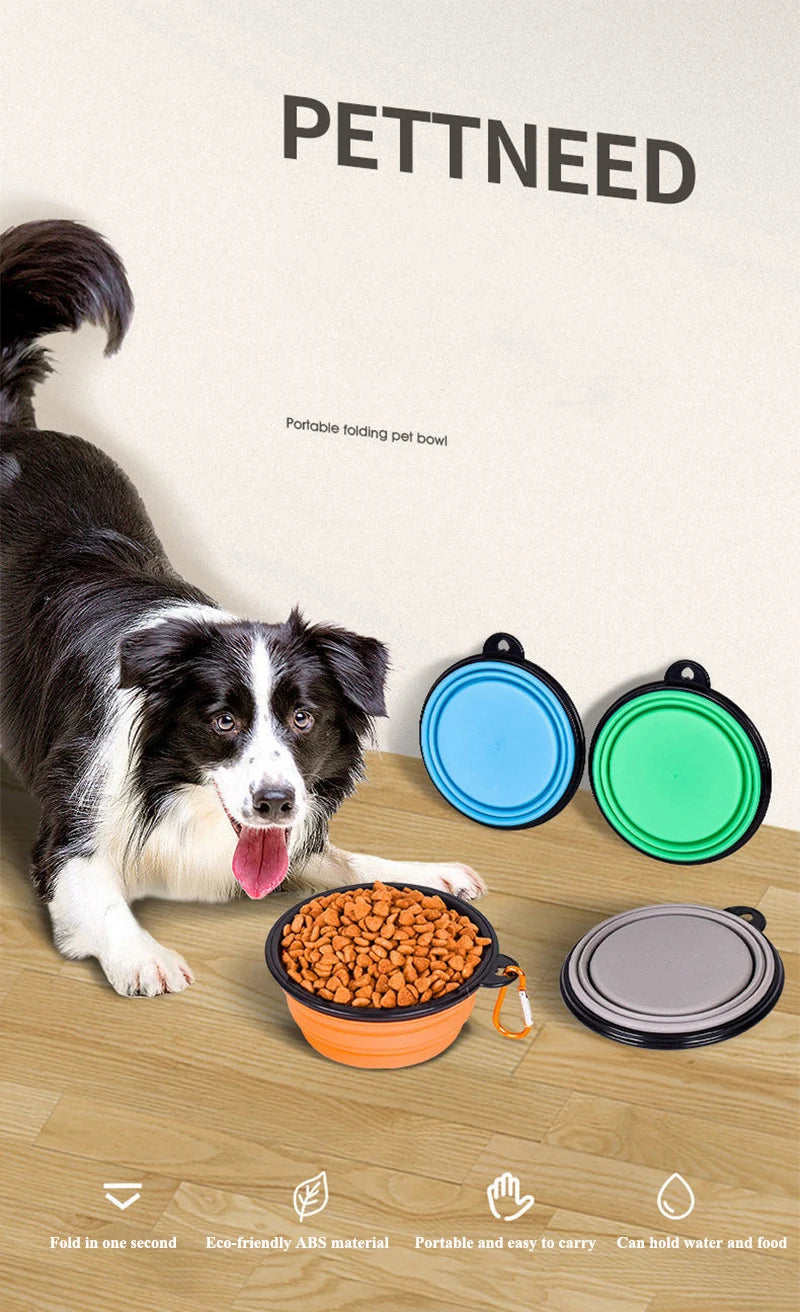 Collapsible Water Bowl