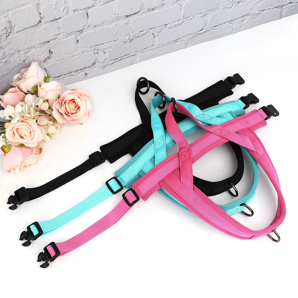 Padded No-Pull Harness Leash Set