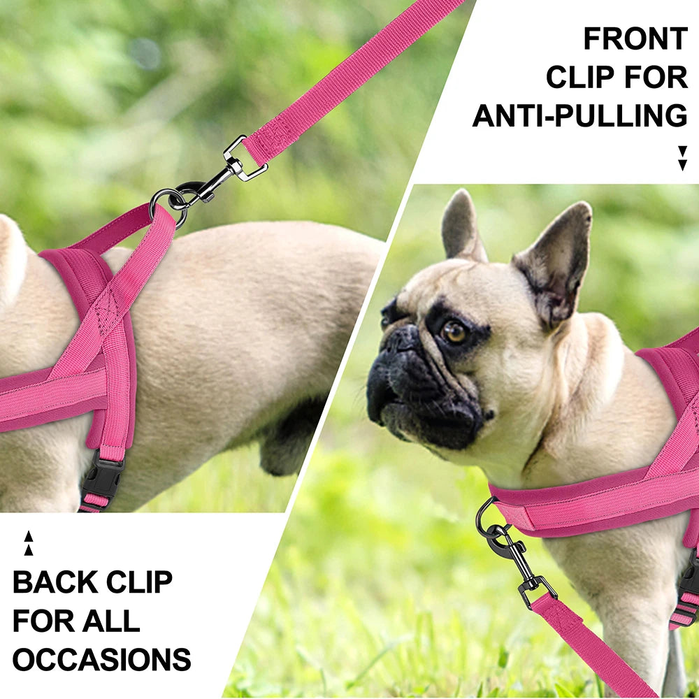 Padded No-Pull Harness Leash Set
