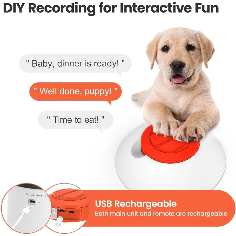 Brain Training Treat Dispenser