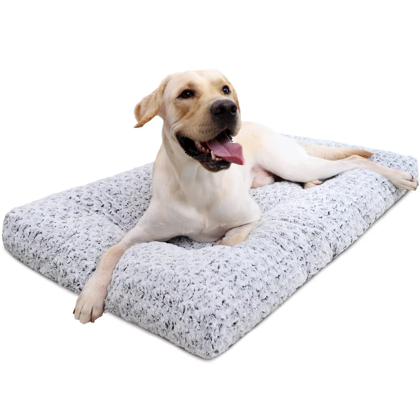 Orthopedic Dog Plush Bed
