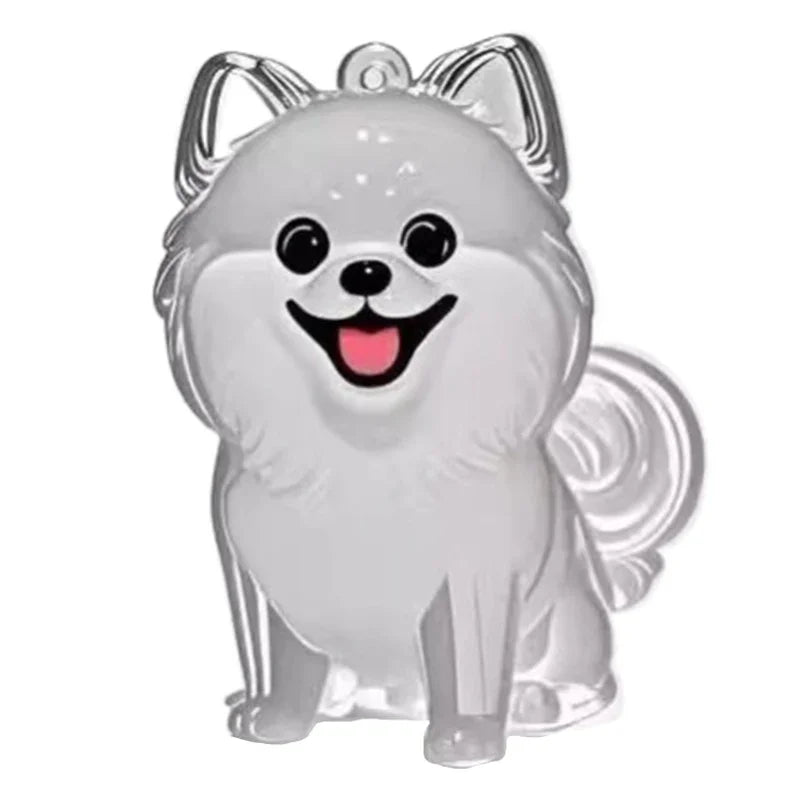 Pet Hair Storage Keychain