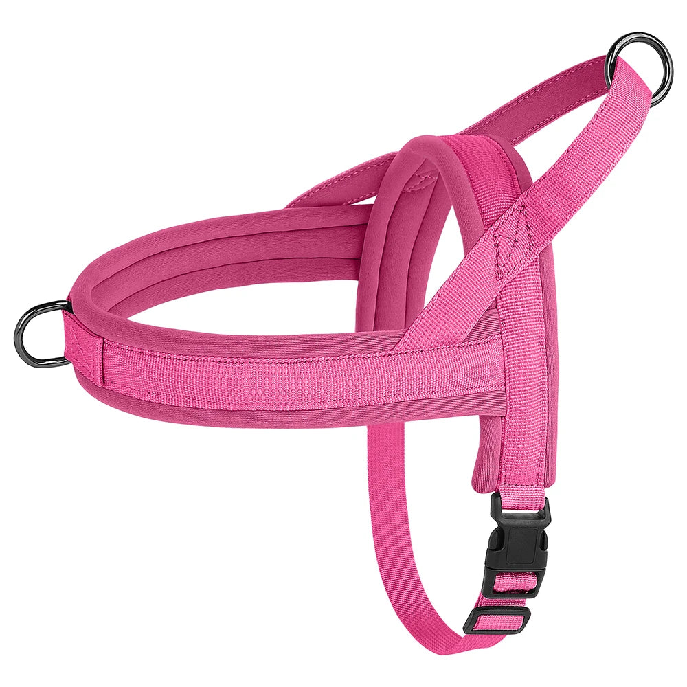 Padded No-Pull Harness Leash Set