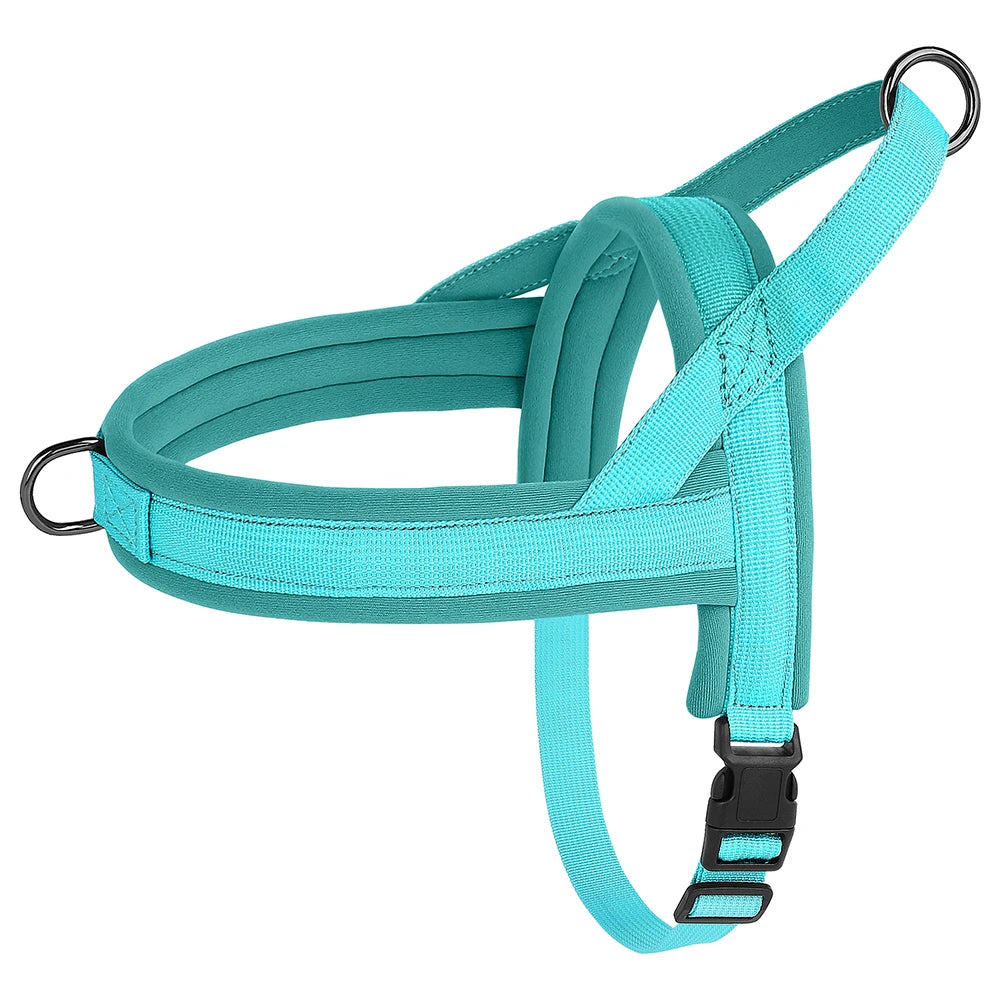 Padded No-Pull Harness Leash Set