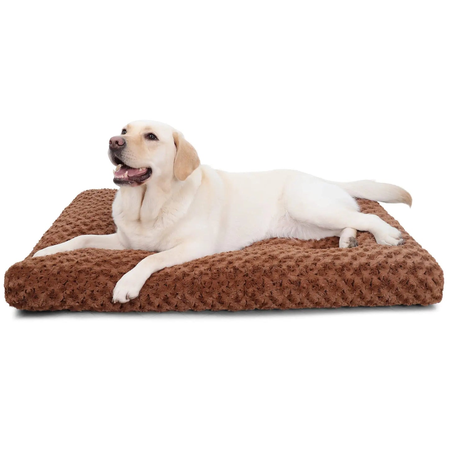 Orthopedic Dog Plush Bed