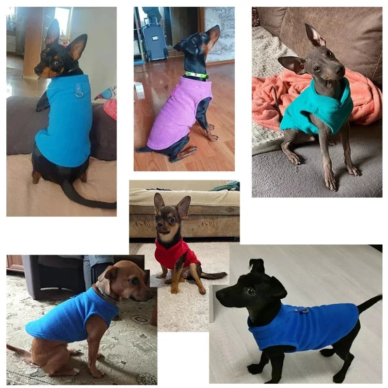Soft Fleece Dog Shirt with Leash Ring