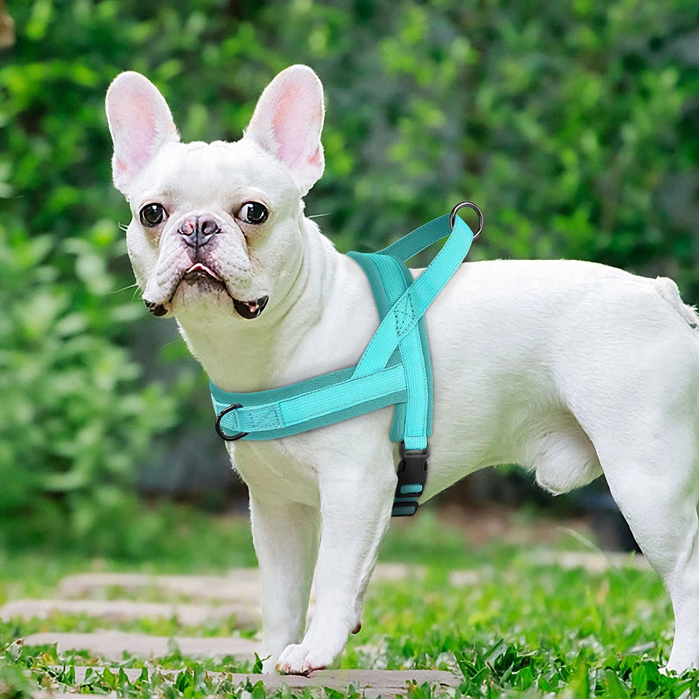 Padded No-Pull Harness Leash Set