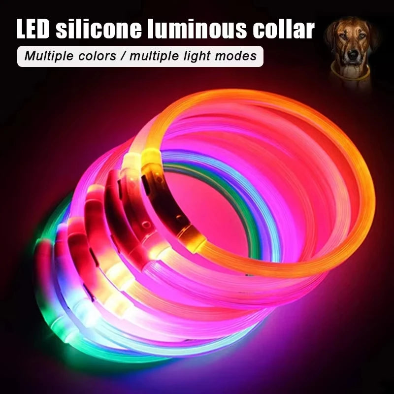 Rechargeable LED Dog Collar