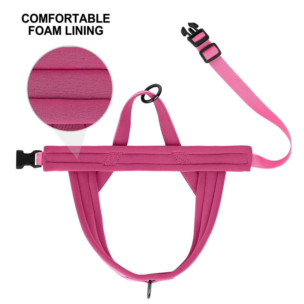 Padded No-Pull Harness Leash Set