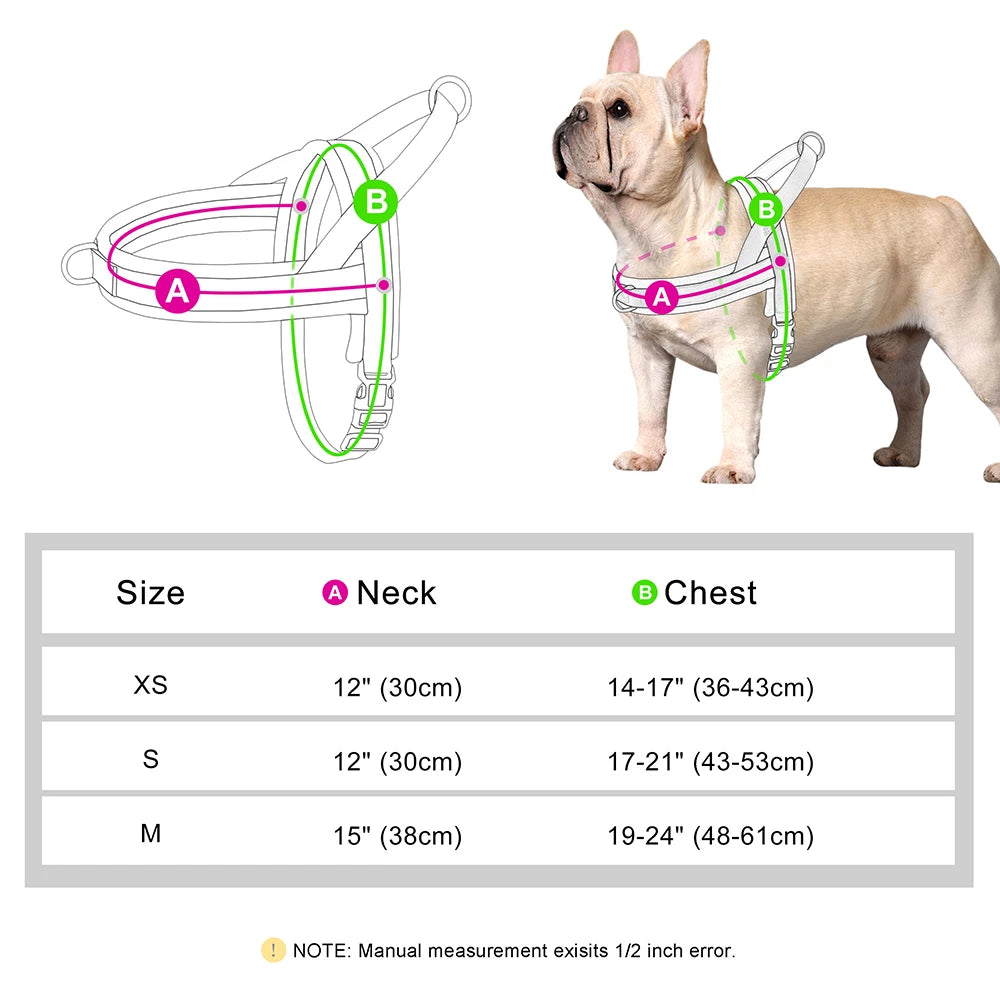 Padded No-Pull Harness Leash Set