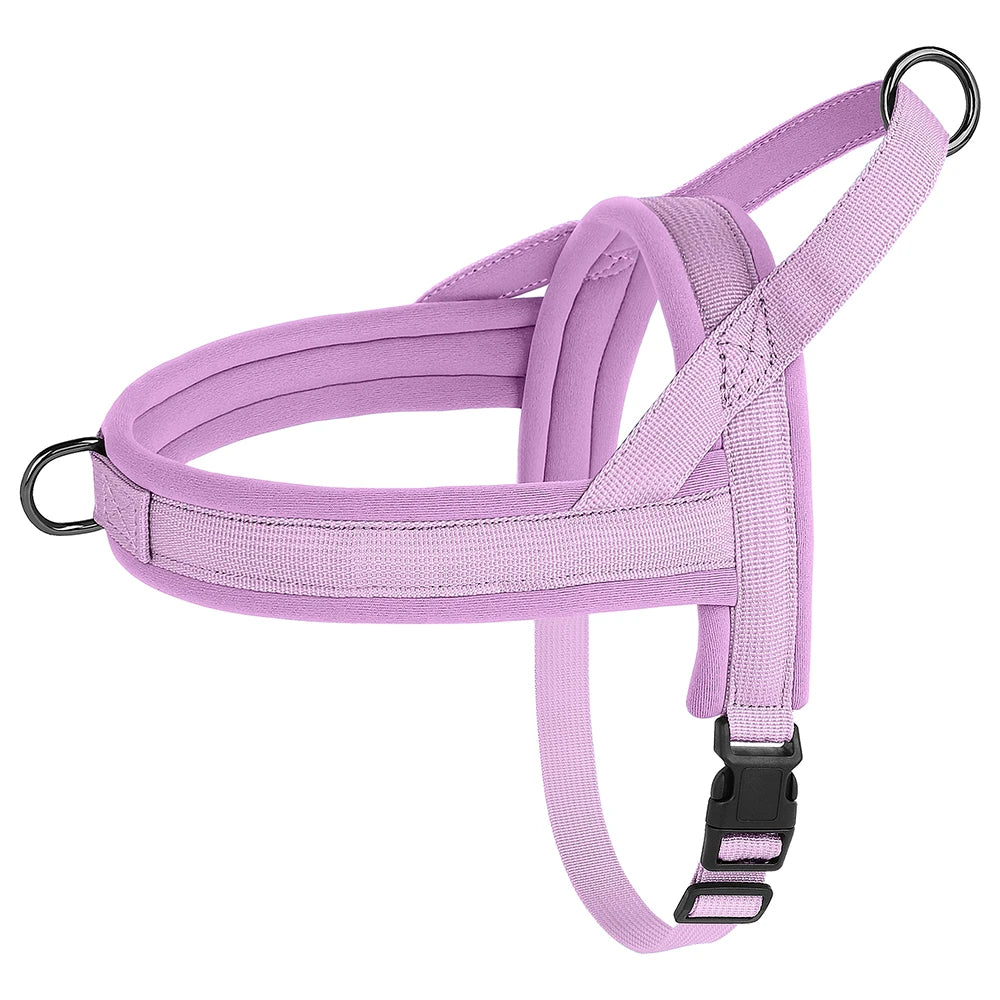 Padded No-Pull Harness Leash Set