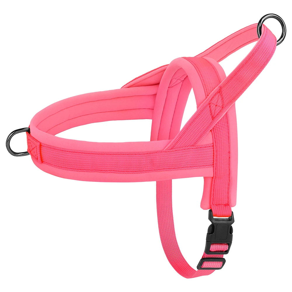 Padded No-Pull Harness Leash Set