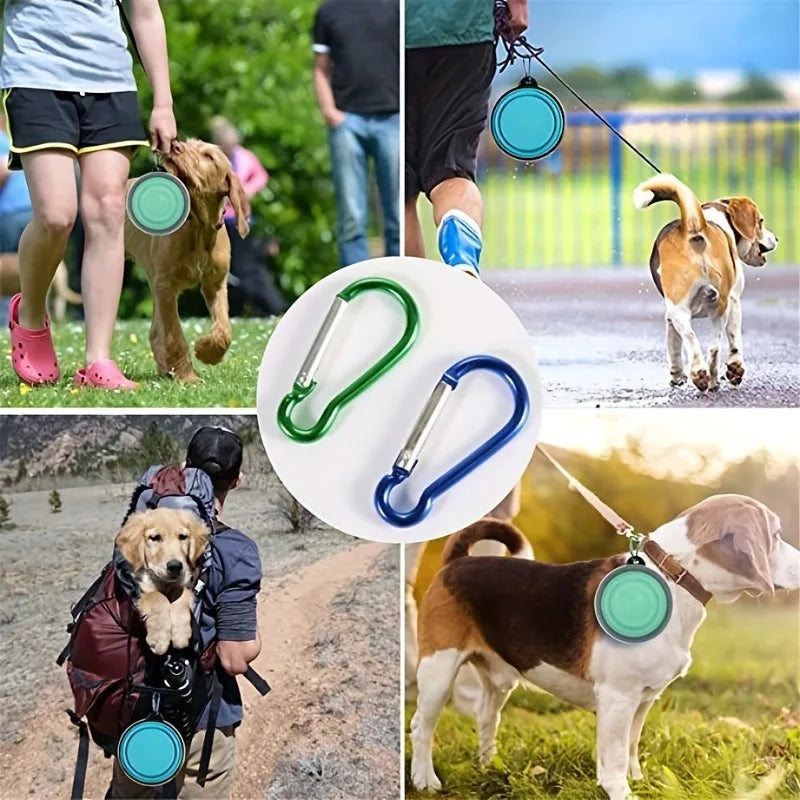 Collapsible Travel Bowls with Lids