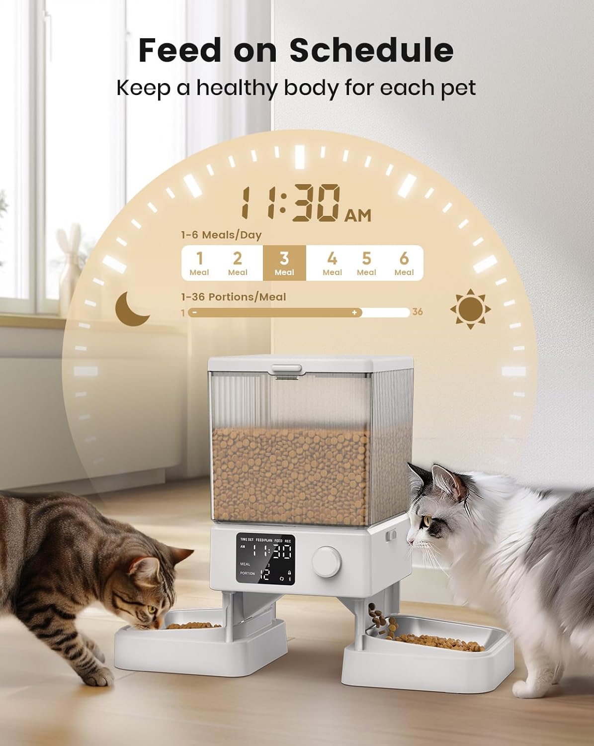 Dual Bowl Automatic Pet Feeder