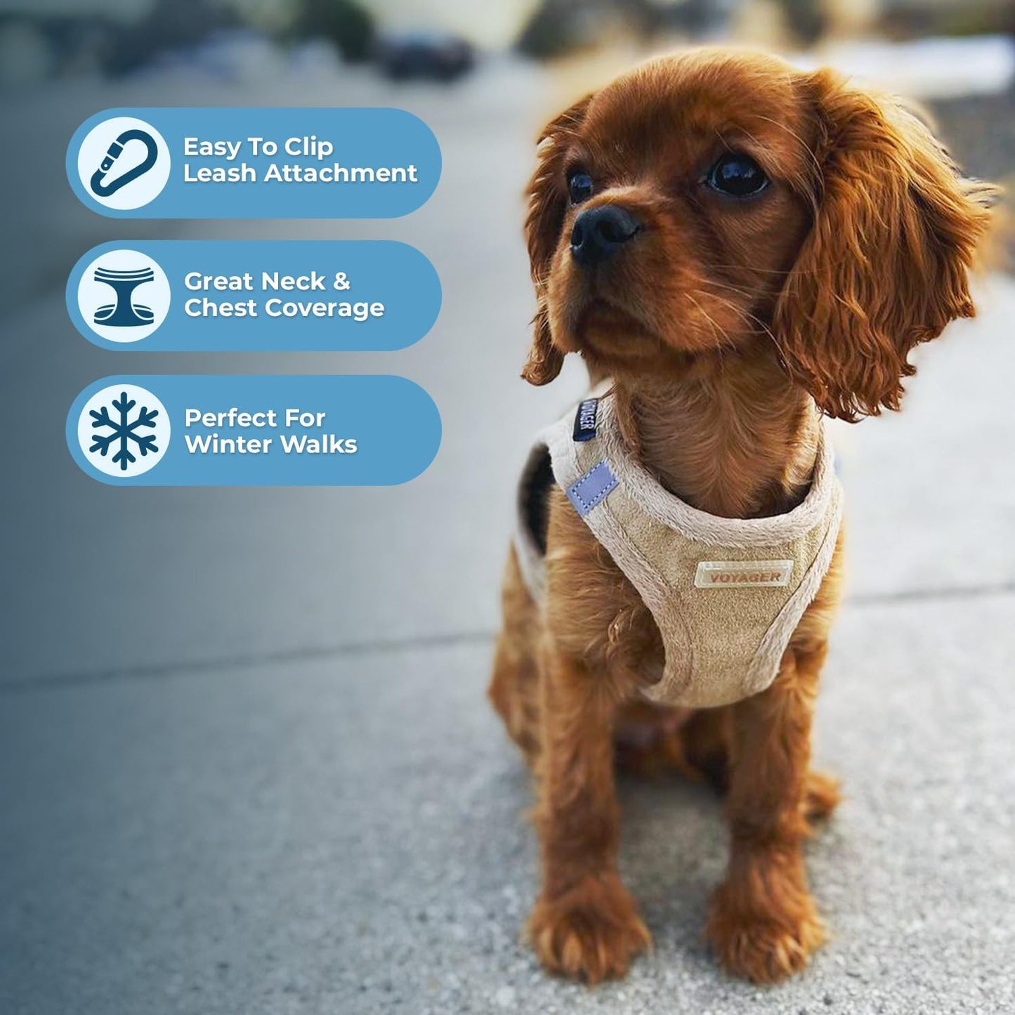 Ultra Cozy Winter Dog Harness