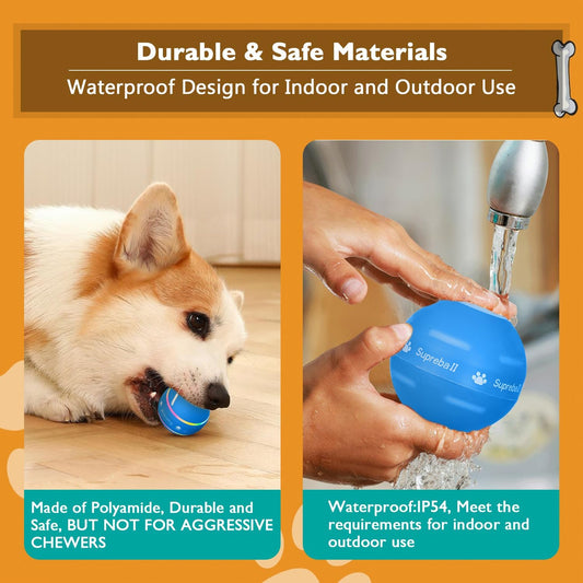 Dog Motion Activated Ball