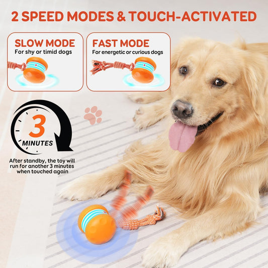 Irregular Rolling Dog Toy