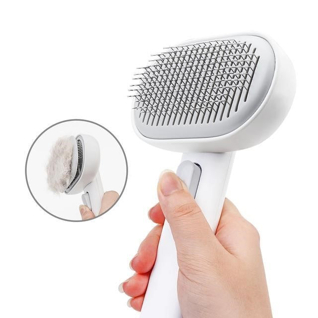 Self Cleaning Brush