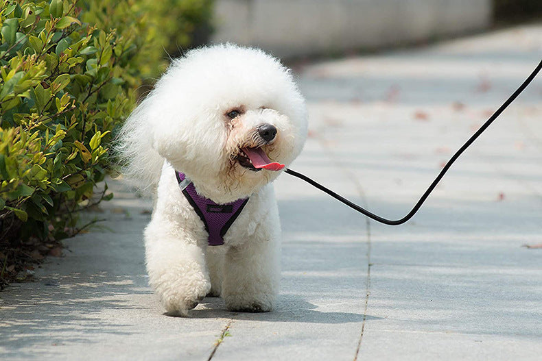 Reflective Air Mesh Yorkie Harness