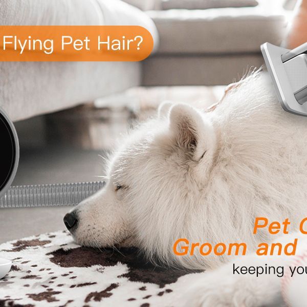 5 in 1 Dog Grooming Vacuum