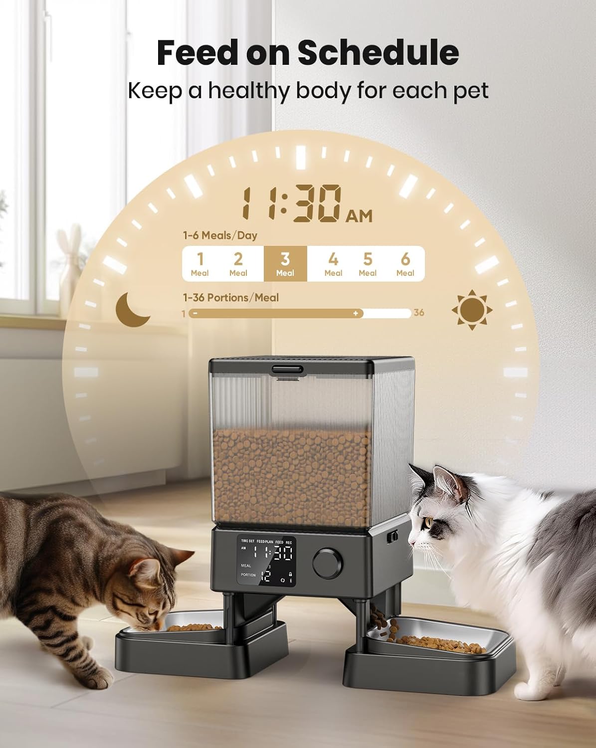 Dual Bowl Automatic Pet Feeder