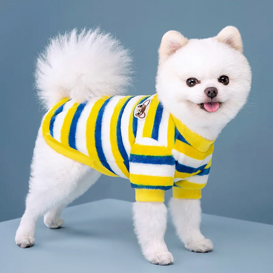 Striped Winter Dog Sweater