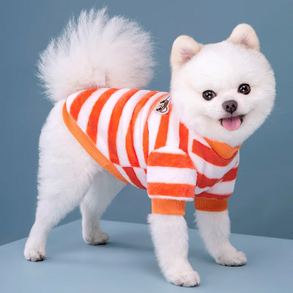 Striped Winter Dog Sweater