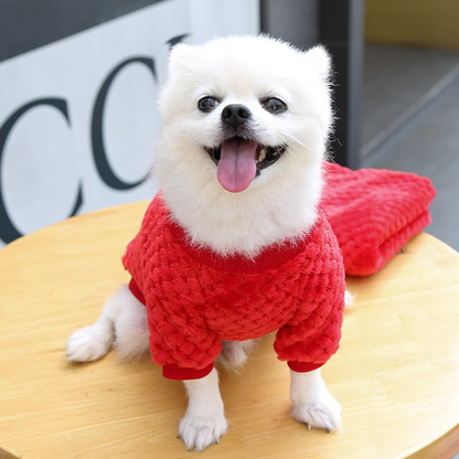 Teddy Bear Plush Dog Sweater