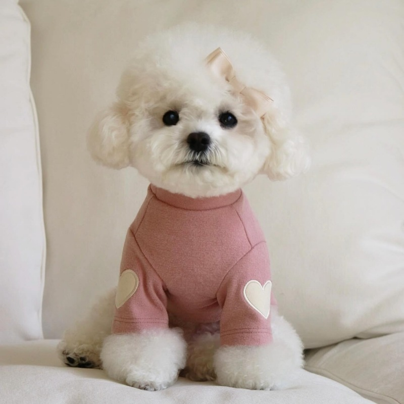 Heart Patch Dog Sweatshirt