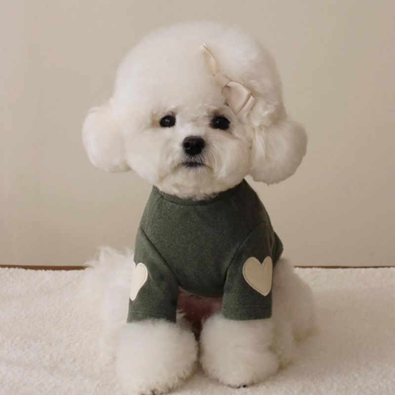 Heart Patch Dog Sweatshirt