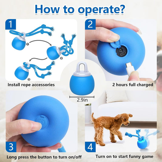 Interactive Bird Sound Yorkie Toy