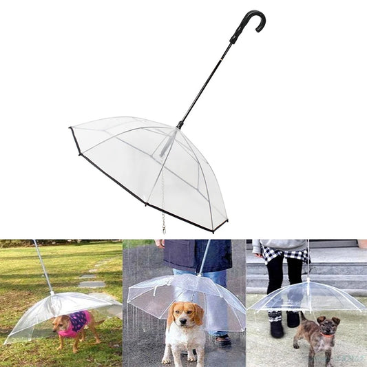 Yorkie Transparent Umbrella