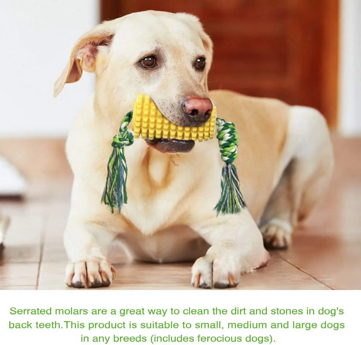 Corn Shaped Yorkie Chew Toy