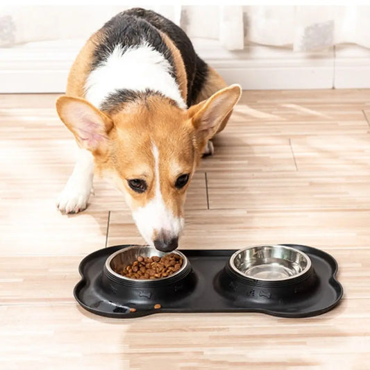 Dog Bowls with Silicone Mat