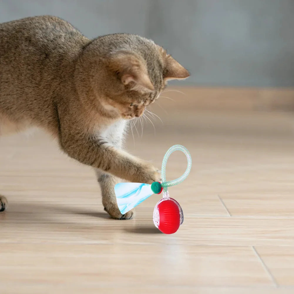 Motion Activated Dog Toy
