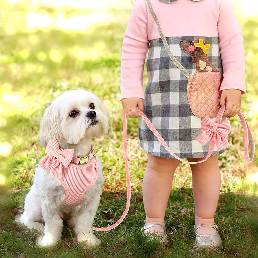 Velvet Harness Collar Leash Set with Bowtie