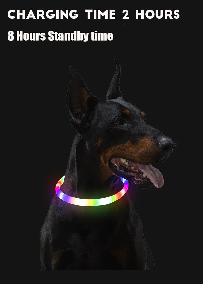 Rechargeable LED Dog Collar